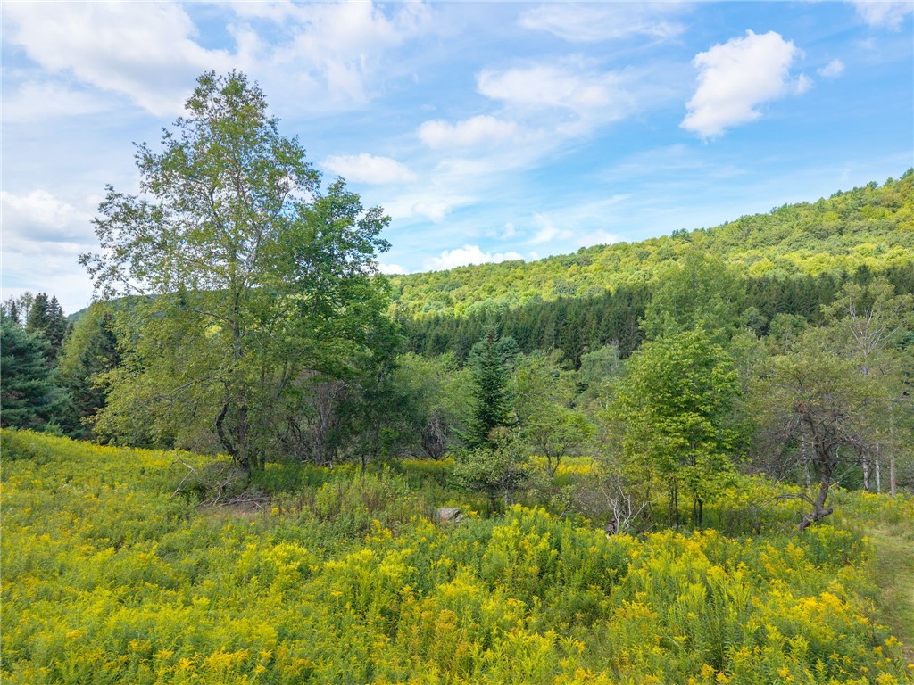 212 Morrell Road Worcester, NY 12197 - Photo 25 of 26