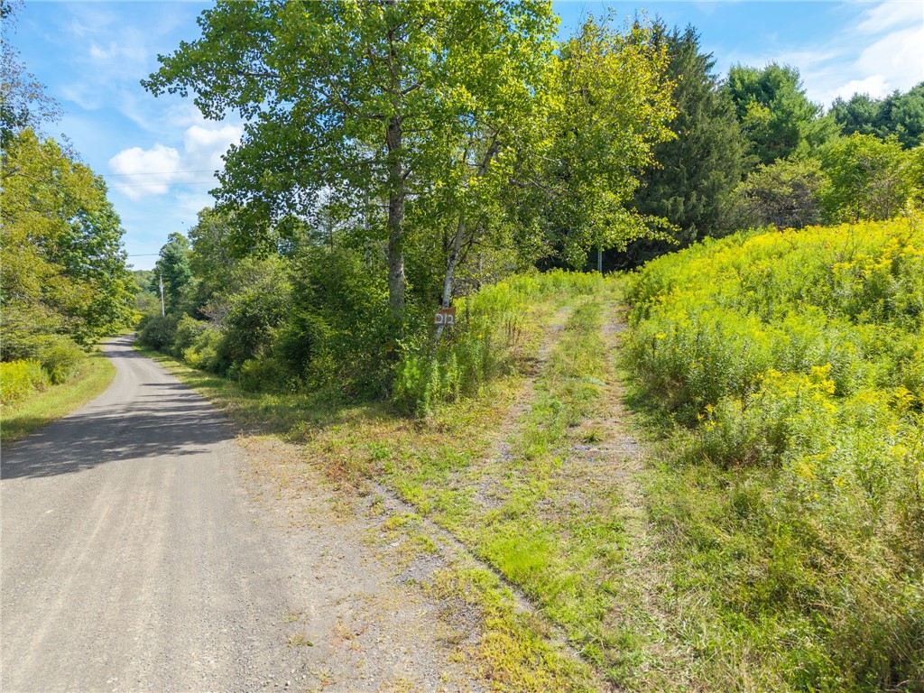 212 Morrell Road Worcester, NY 12197 - Photo 5 of 26