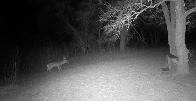 $450,000 | 510 Old Sawmill Road, Mart, TX 76664