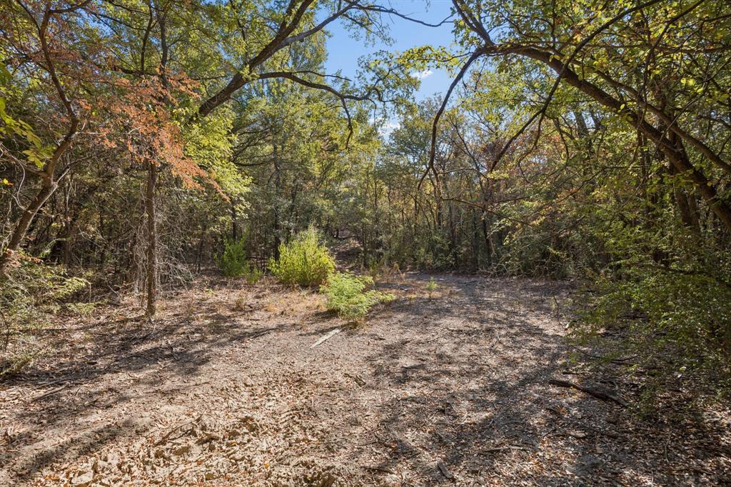 2301 Moseley Road Cross Roads, TX 76227 - Photo 21 of 28 Gallery Image 21