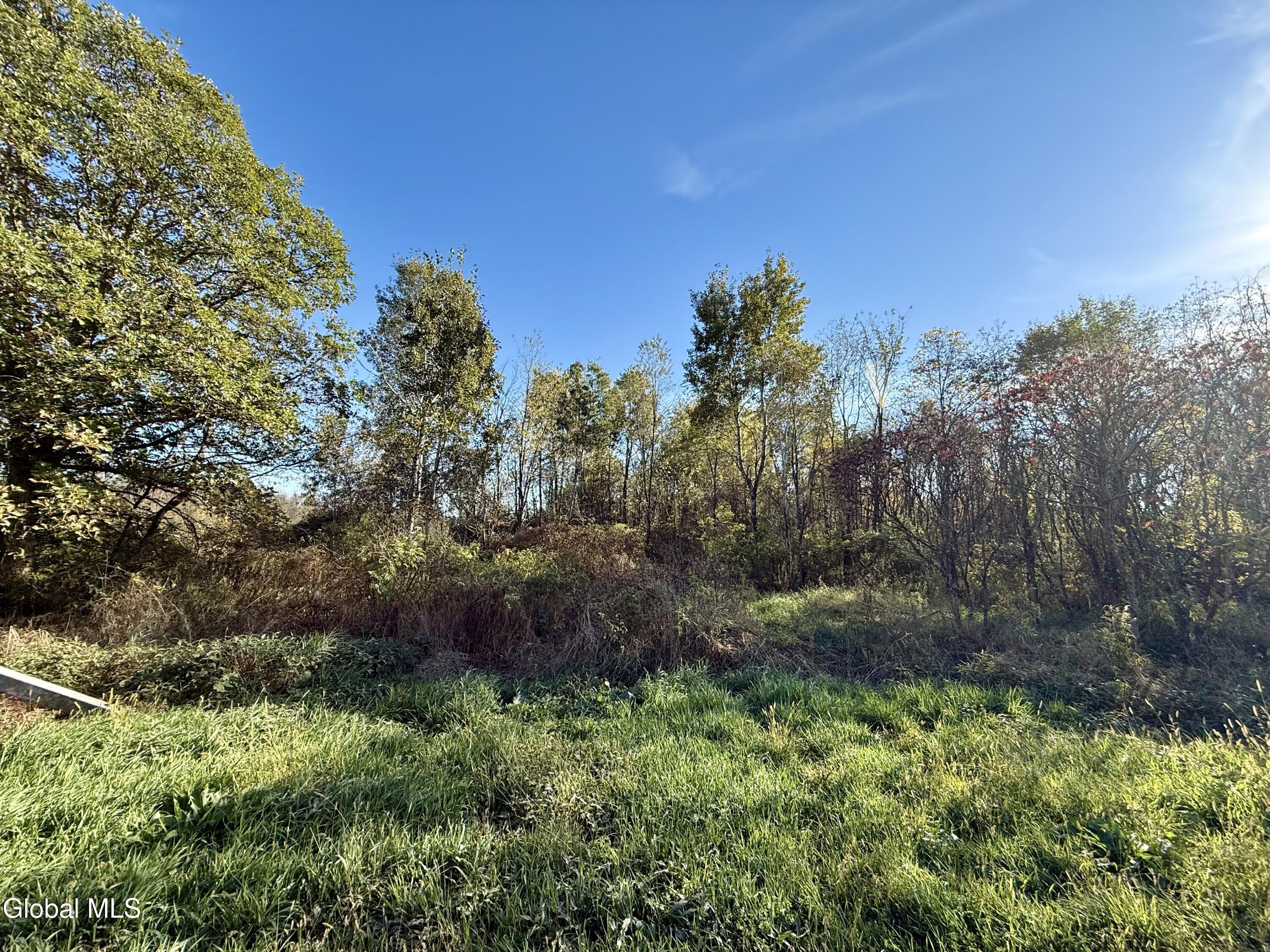 L4.1 New Swamp Road Fort Edward, NY 12828 - Photo 4 of 17 From Street