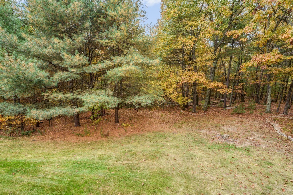 7 Magnolia Drive Ayer, MA 01432 - Photo 24 of 28 a view of a yard with a tree