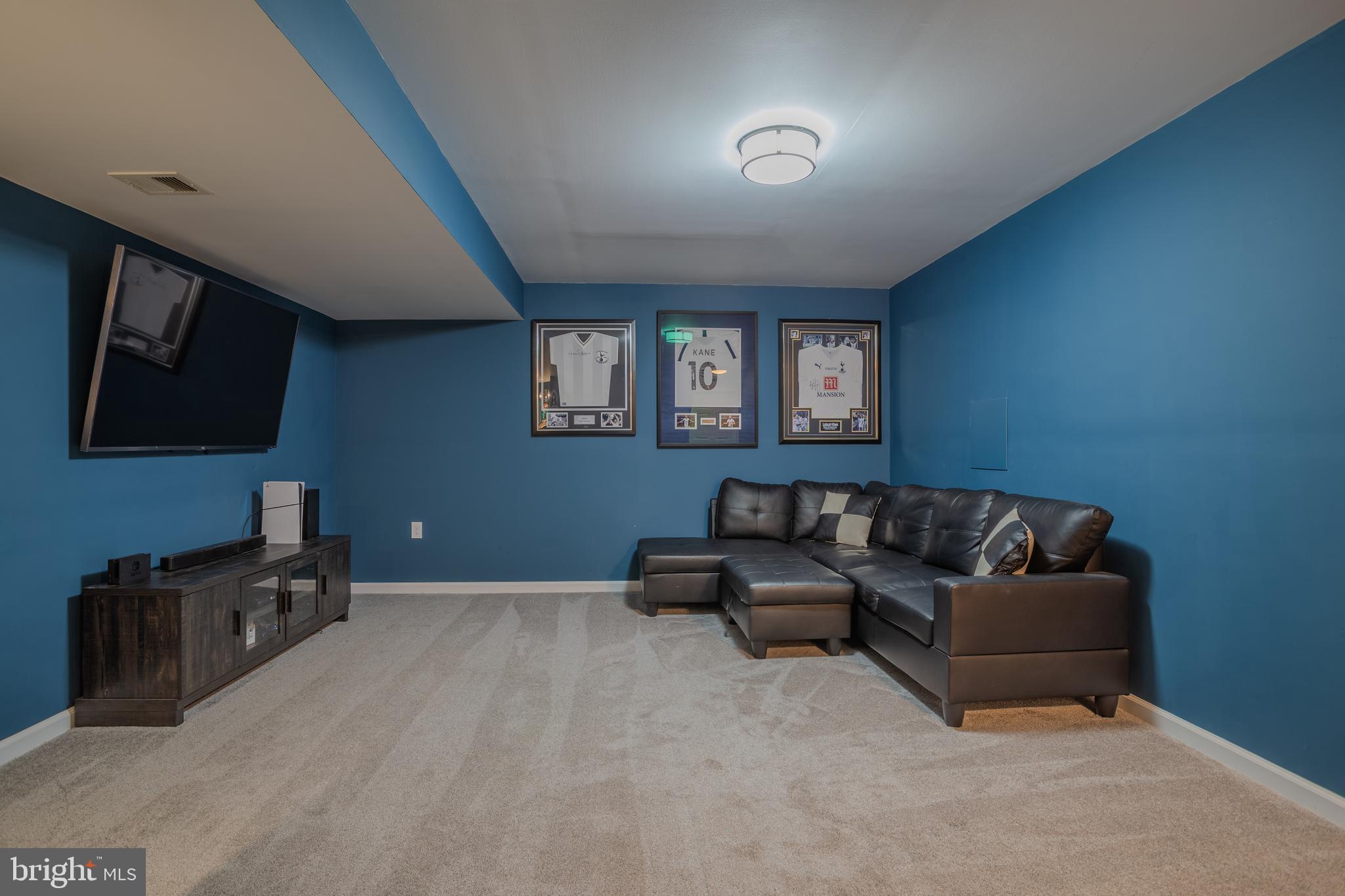 6 Rams Court Shepherdstown, WV 25443 - Photo 50 of 69 Basement Movie room