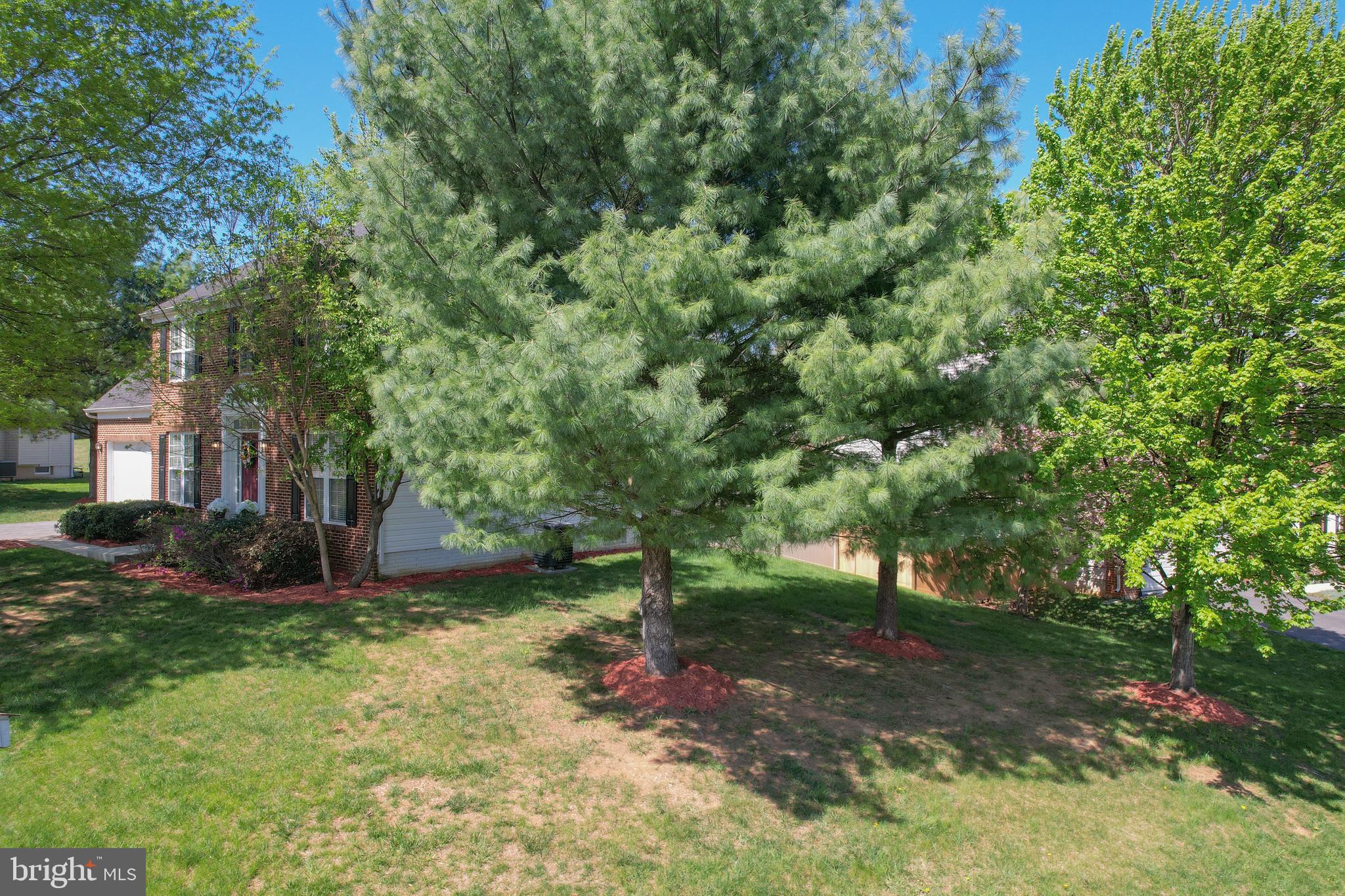 6 Rams Court Shepherdstown, WV 25443 - Photo 66 of 69 Side yard secluded with mature trees