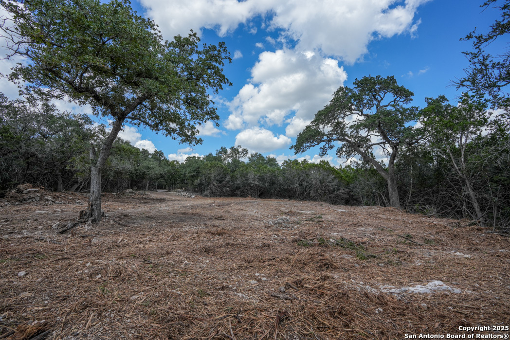 330 Rayner Ranch Boulevard Spring Branch, TX 78070 - Photo 13 of 18