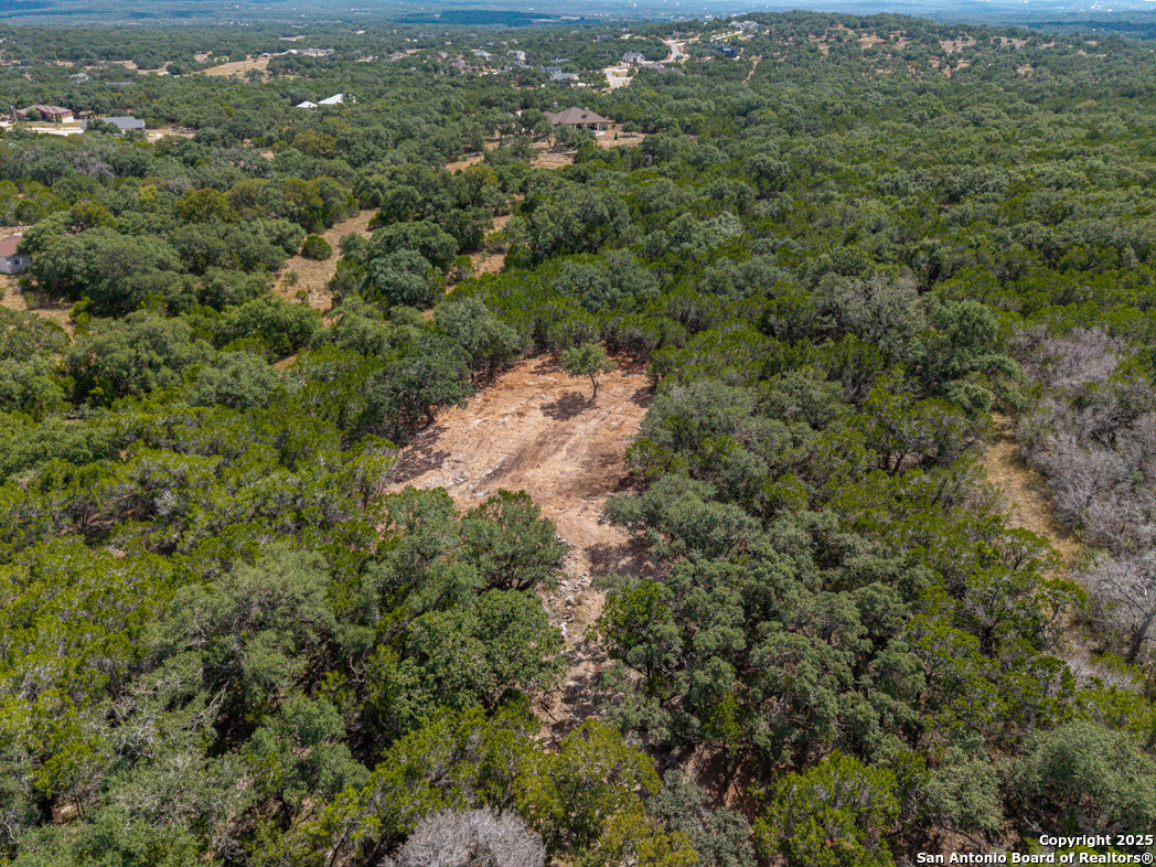 330 Rayner Ranch Boulevard Spring Branch, TX 78070 - Photo 4 of 18