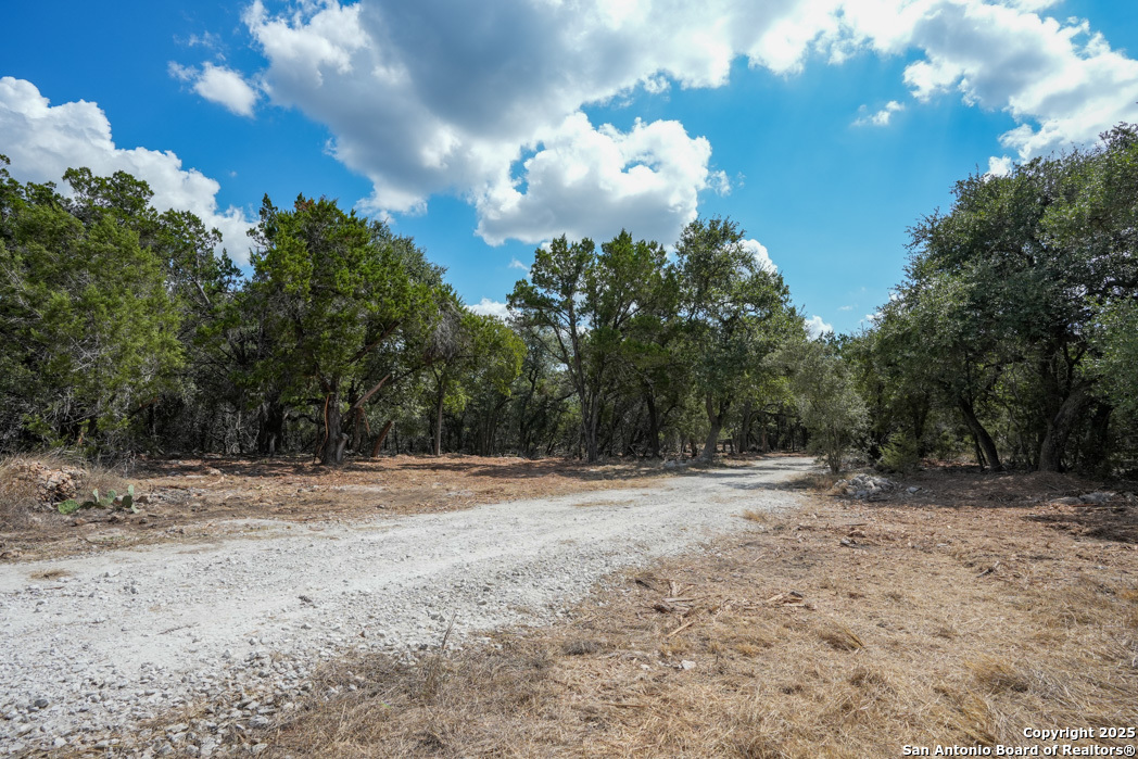 330 Rayner Ranch Boulevard Spring Branch, TX 78070 - Photo 6 of 18