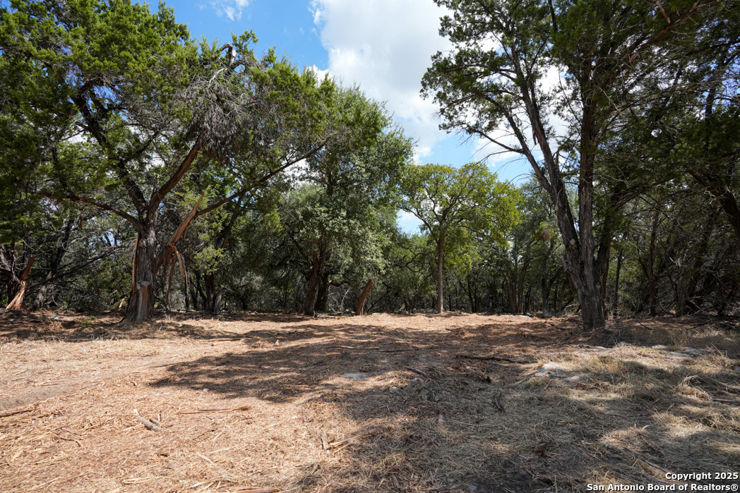 330 Rayner Ranch Boulevard Spring Branch, TX 78070 - Photo 8 of 18