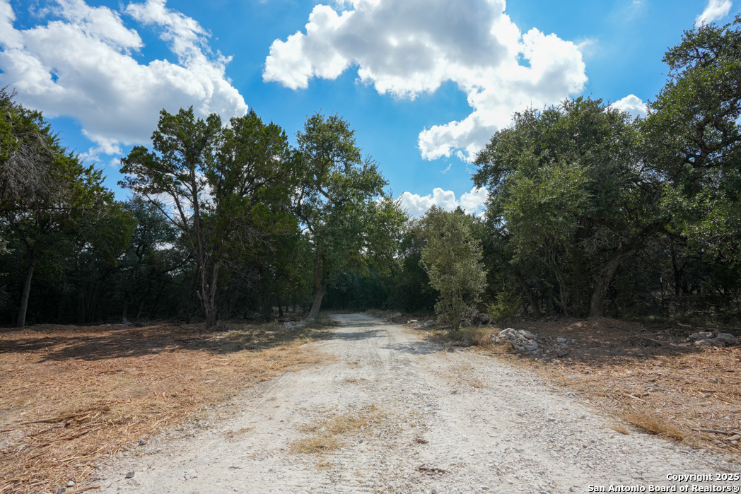 330 Rayner Ranch Boulevard Spring Branch, TX 78070 - Photo 9 of 18
