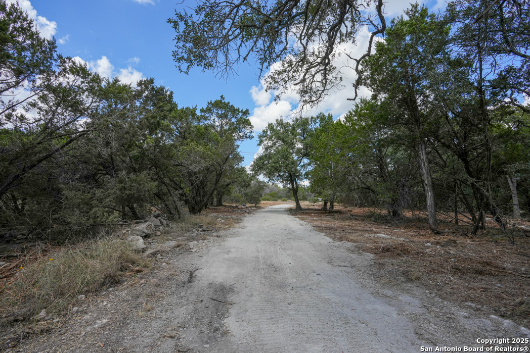 330 Rayner Ranch Boulevard Spring Branch, TX 78070 - Photo 10 of 18