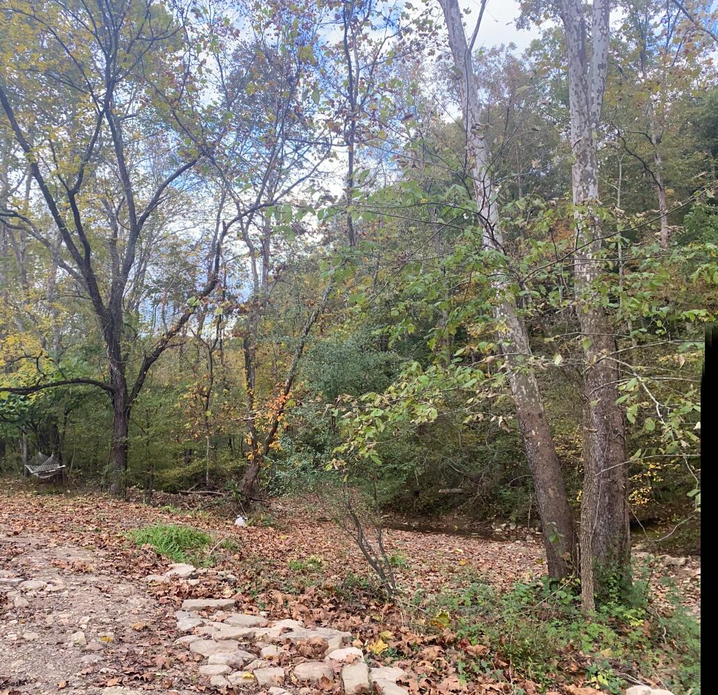 958 Low Gap Road McKee, KY 40447 - Photo 27 of 27 Screenshot_20220426-211726~3