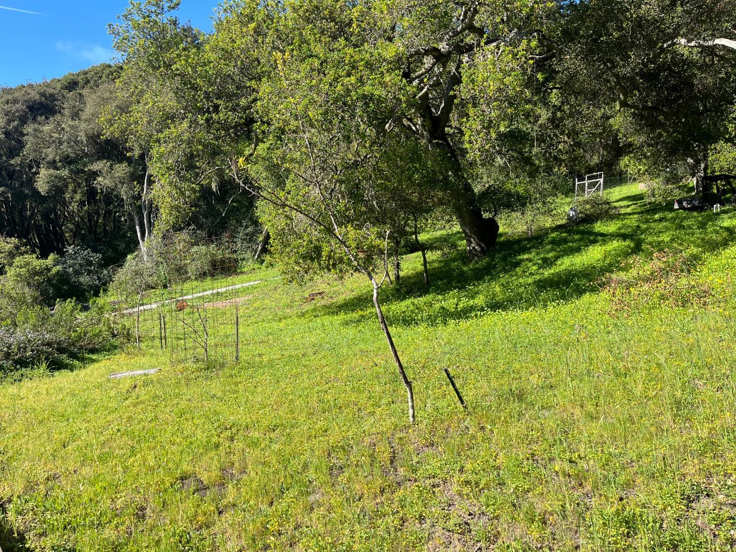 0 Baker Road Aptos, CA 95003 - Photo 24 of 29 a view of yard with swimming pool
