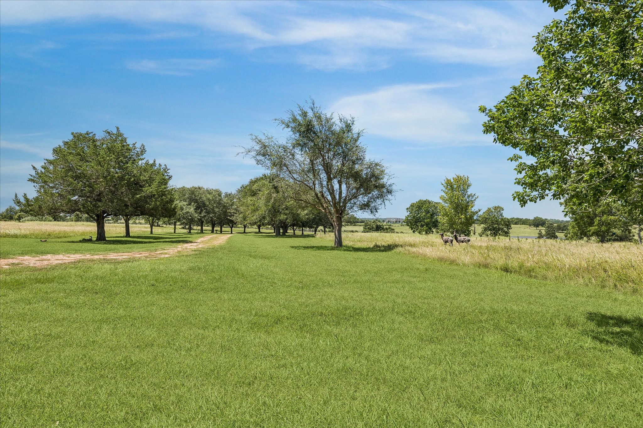 18250 Bosse Road Washington, TX 77880 - Photo 43 of 48