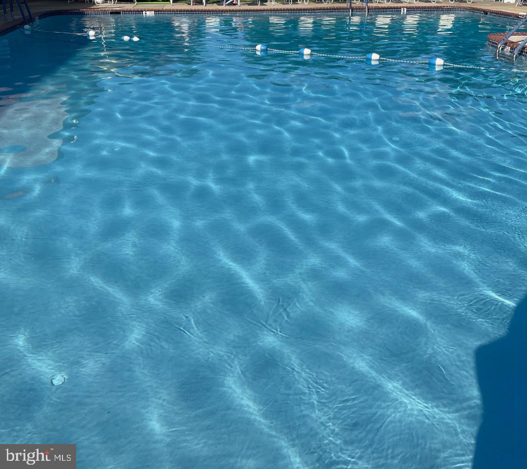 67203 Delaire Landing Road, Unit 203 Philadelphia, PA 19114 - Photo 24 of 29 a view of yard with swimming pool