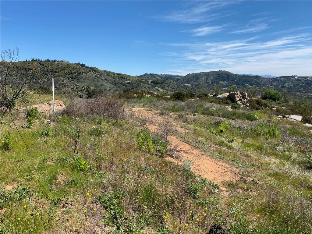 3 Las Palmeras Drive Temecula, CA 92590 - Photo 2 of 8 a view of a lush green field