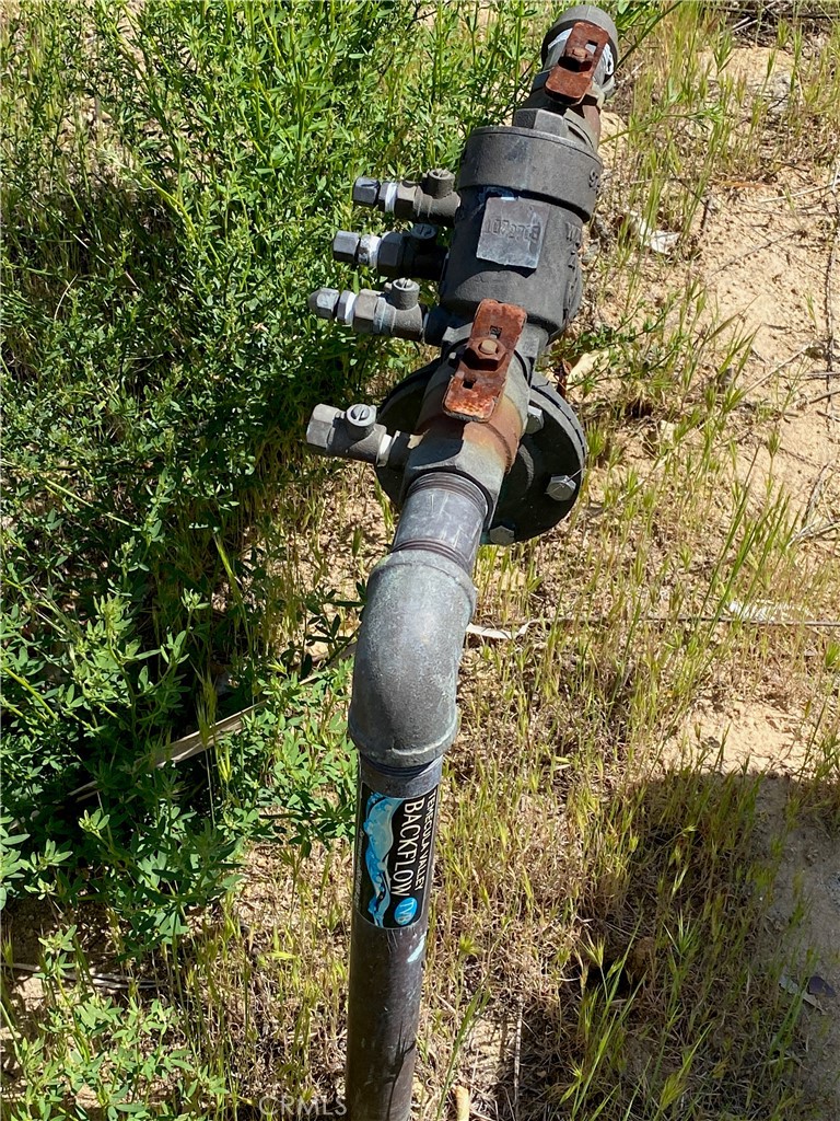 3 Las Palmeras Drive Temecula, CA 92590 - Photo 5 of 8 a vase of flowers sitting on a table