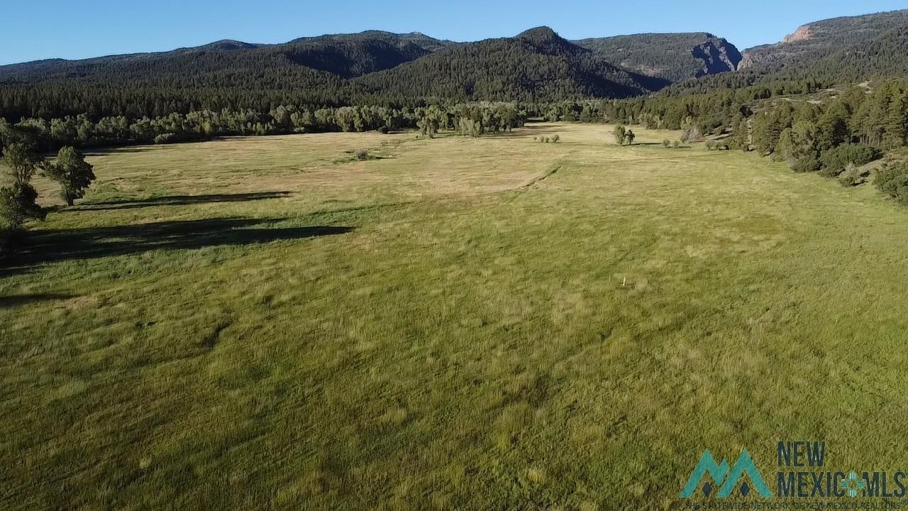 0 Pd 1788 Road Chama, NM 87520 - Photo 3 of 17 Gallery Image 3