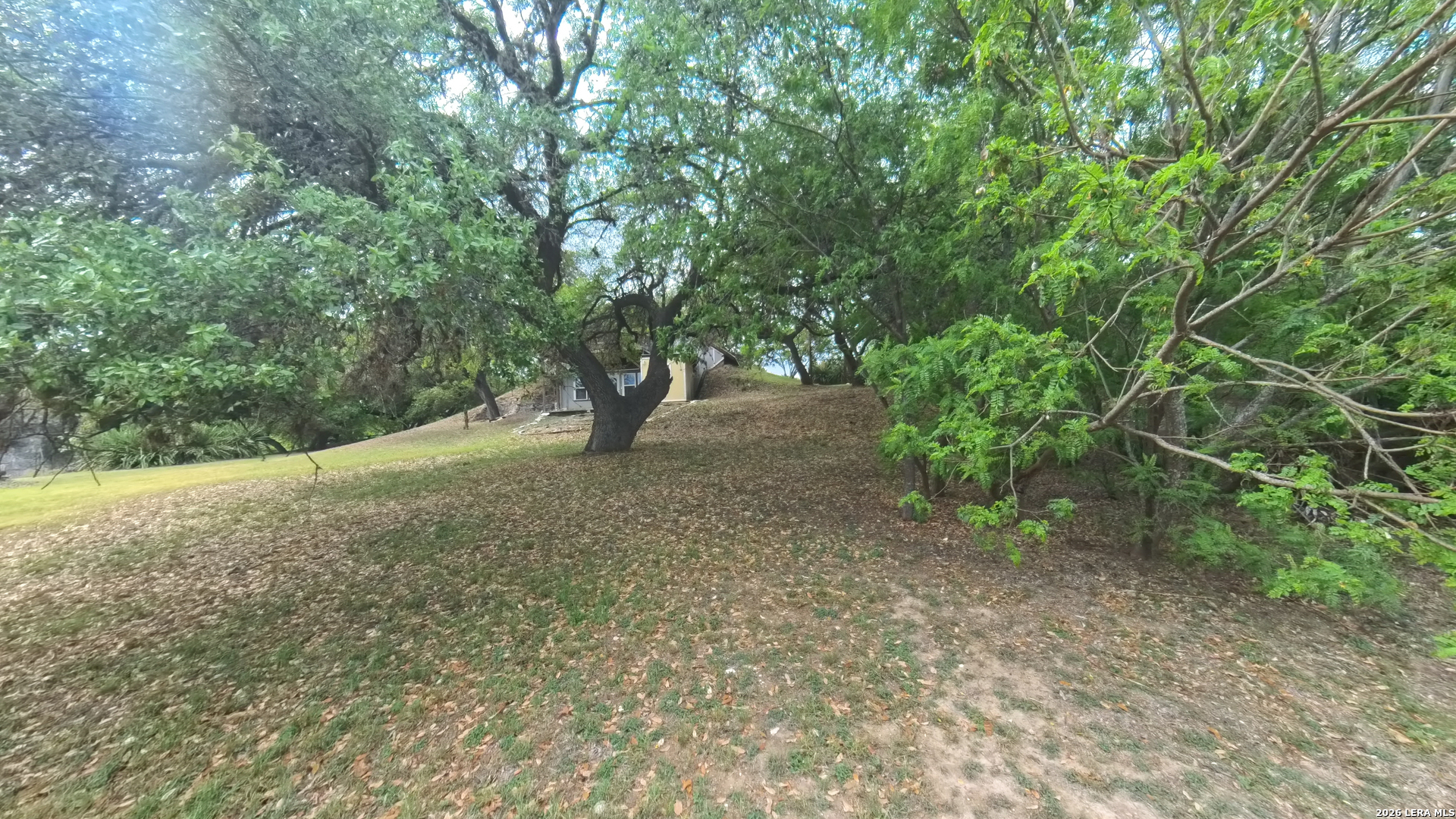929 Red Bluff Ranch Drive Pipe Creek, TX 78063 - Photo 26 of 44 a view of outdoor space and trees