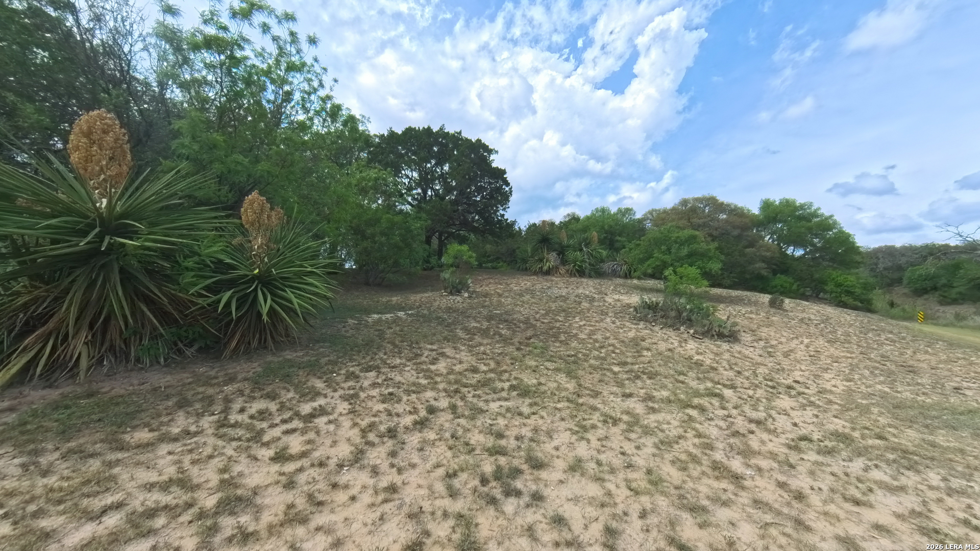 929 Red Bluff Ranch Drive Pipe Creek, TX 78063 - Photo 27 of 44 a view of a yard with plants and a trees