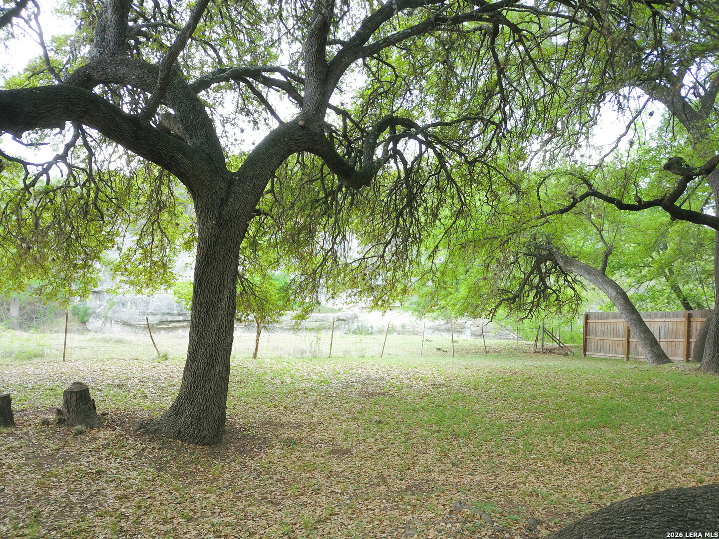 929 Red Bluff Ranch Drive Pipe Creek, TX 78063 - Photo 33 of 44 a backyard of a house with lots of green space