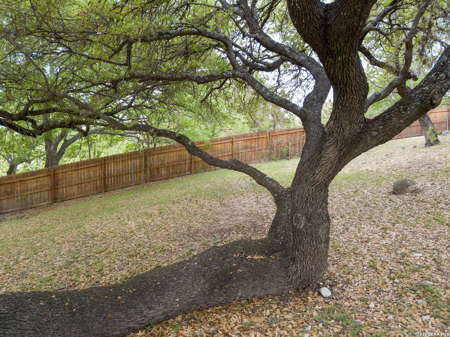 929 Red Bluff Ranch Drive Pipe Creek, TX 78063 - Photo 35 of 44 a view of a yard with a tree
