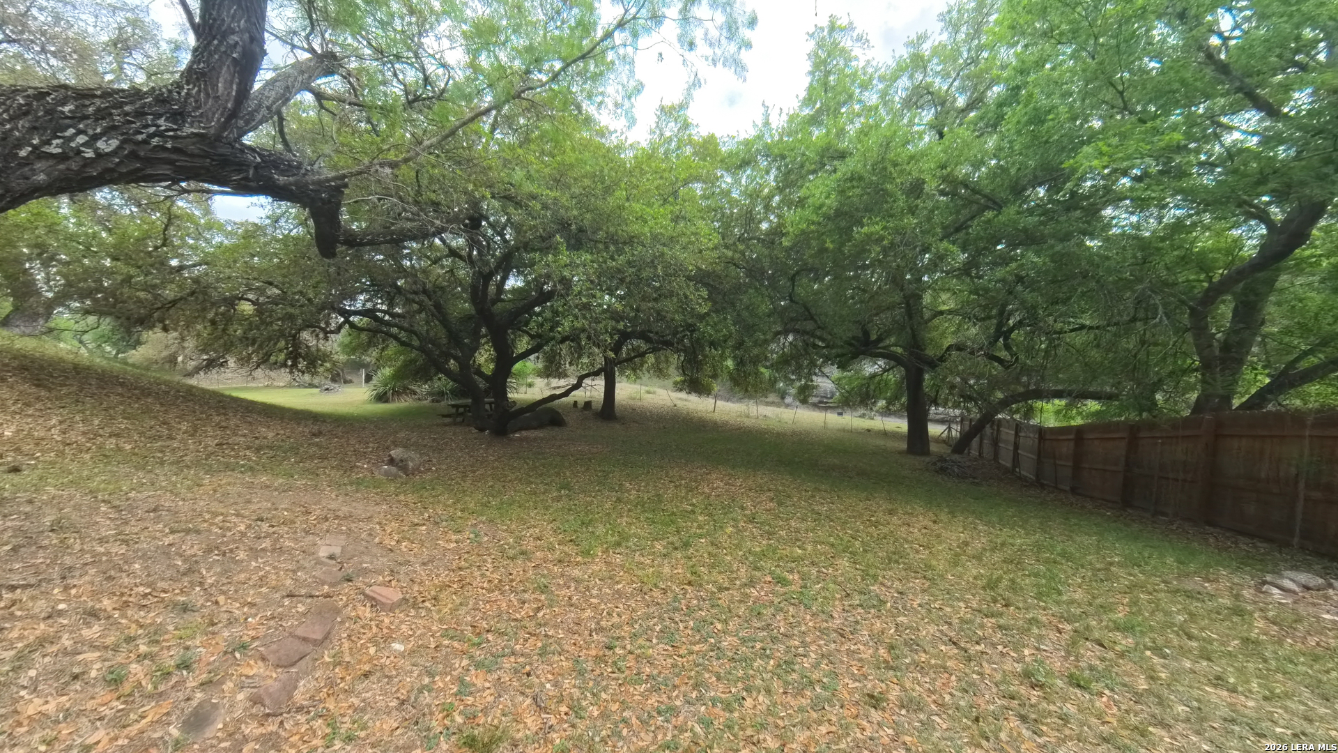 929 Red Bluff Ranch Drive Pipe Creek, TX 78063 - Photo 37 of 44 a view of a tree next to a yard