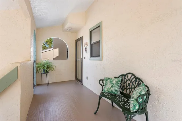 a picture of a palm plant