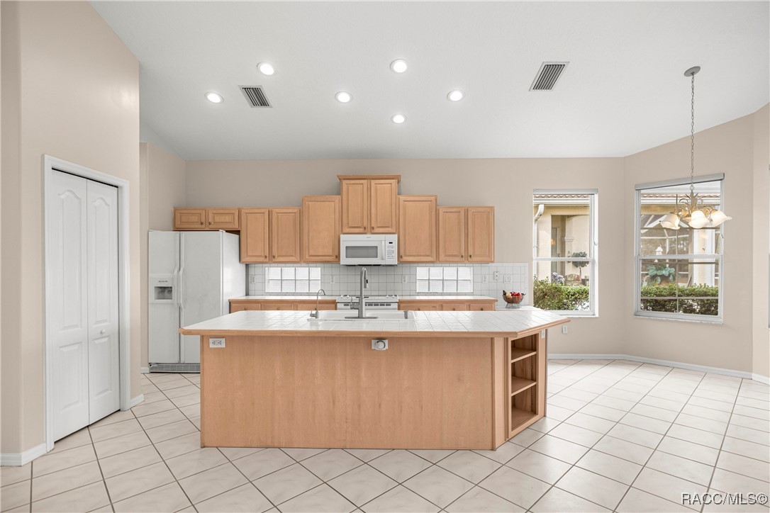 51 West Doerr Path Hernando, FL 34442 - Photo 19 of 88