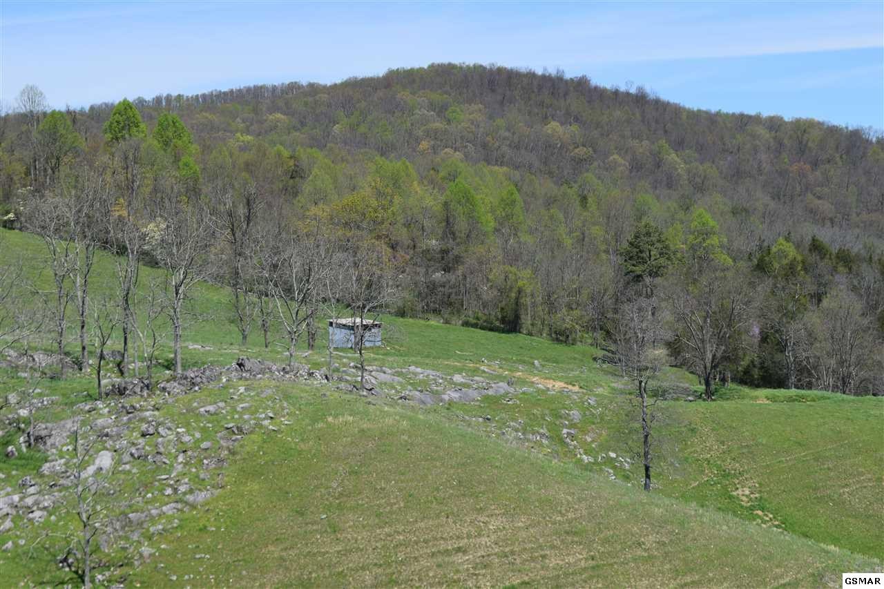 617 War Creek Road Eidson, TN 37731 - Photo 22 of 35