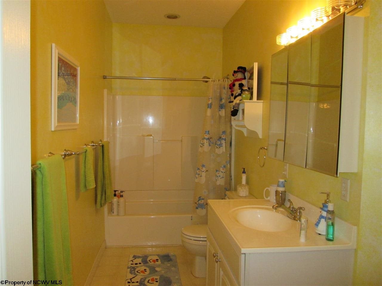 971 Deer Ridge Road Davis, WV 26260 - Photo 12 of 20 Gallery Image 12