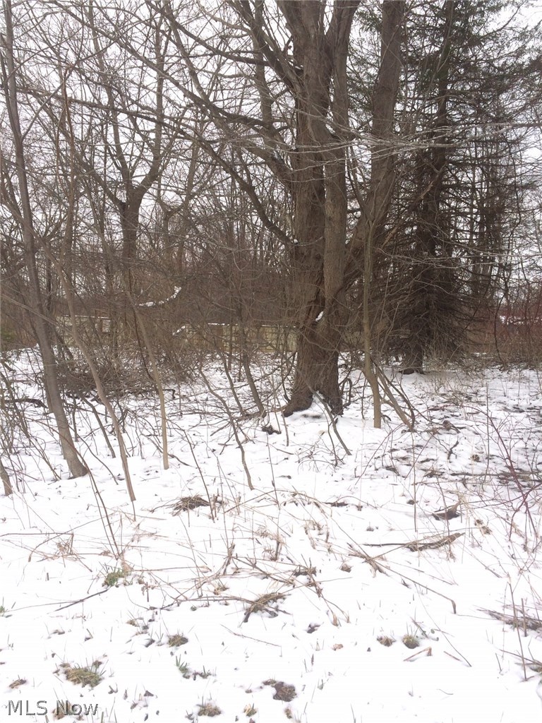 1406 Sill Road Ashtabula, OH 44004 - Photo 3 of 4