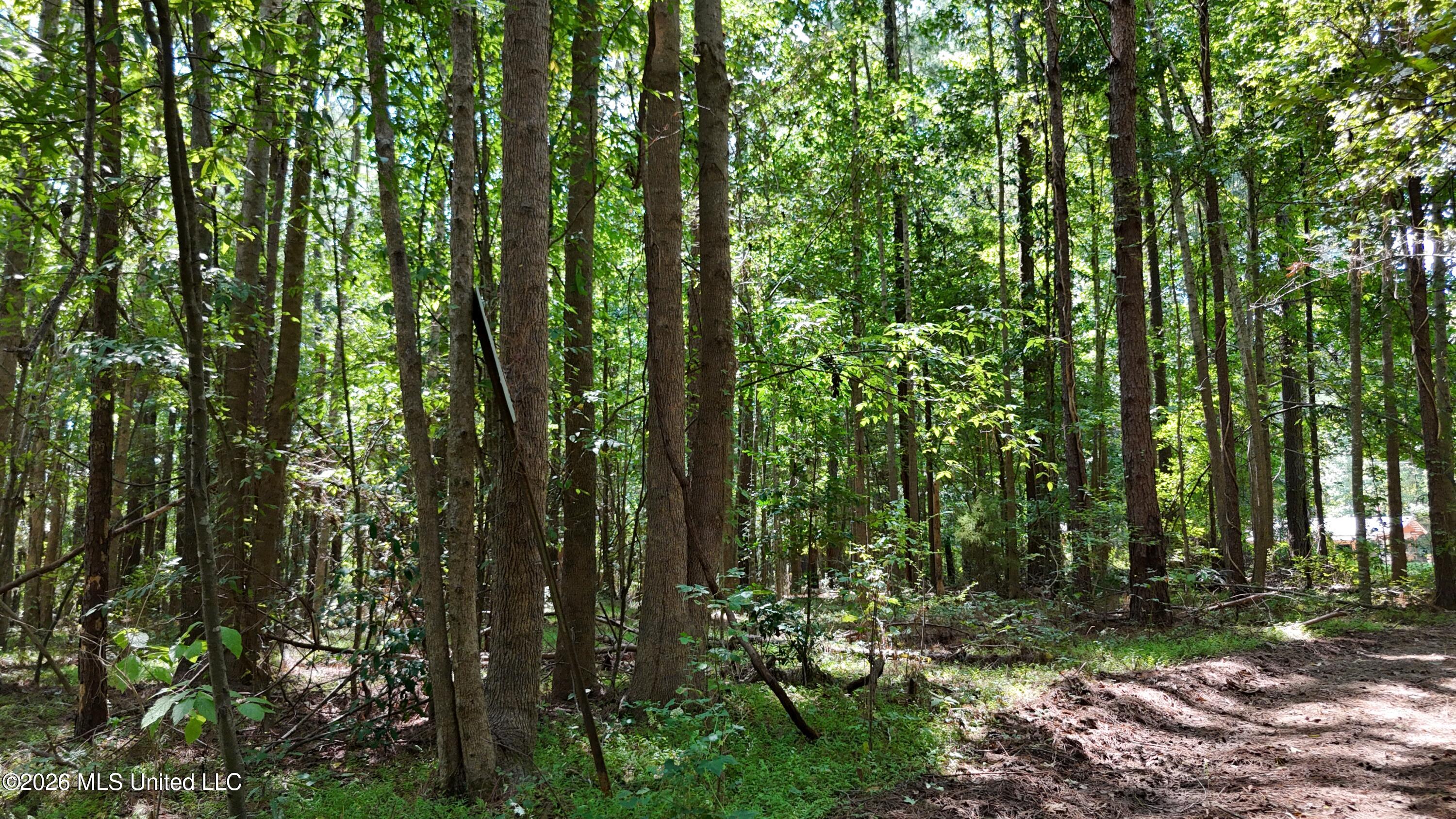 7 Jordan Road Natchez, MS 39120 - Photo 58 of 65 DJI_20260908141801_0057_D