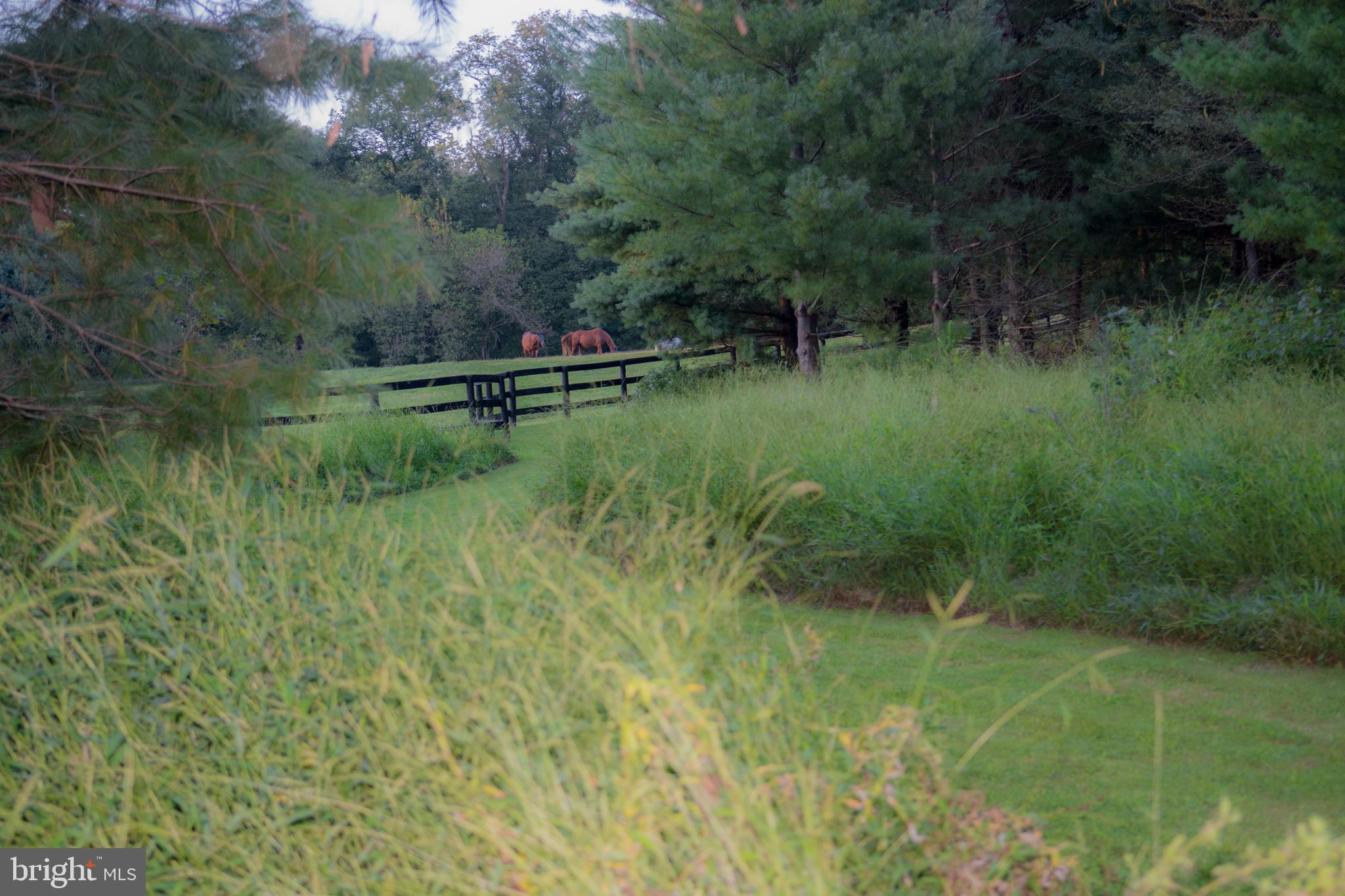 17827 Tranquility Road Purcellville, VA 20132 - Photo 38 of 130 Gallery Image 38