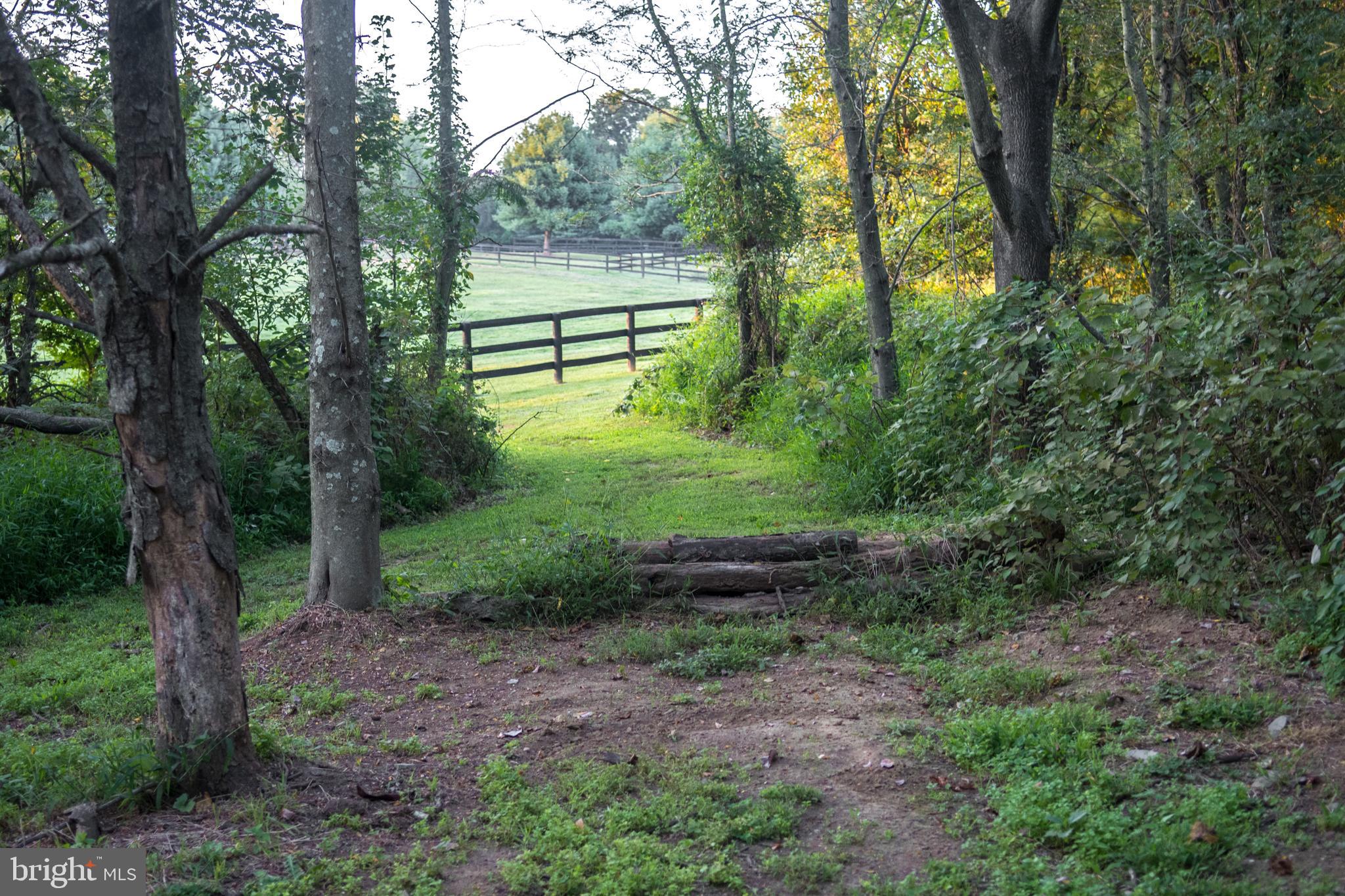 17827 Tranquility Road Purcellville, VA 20132 - Photo 39 of 130 Gallery Image 39