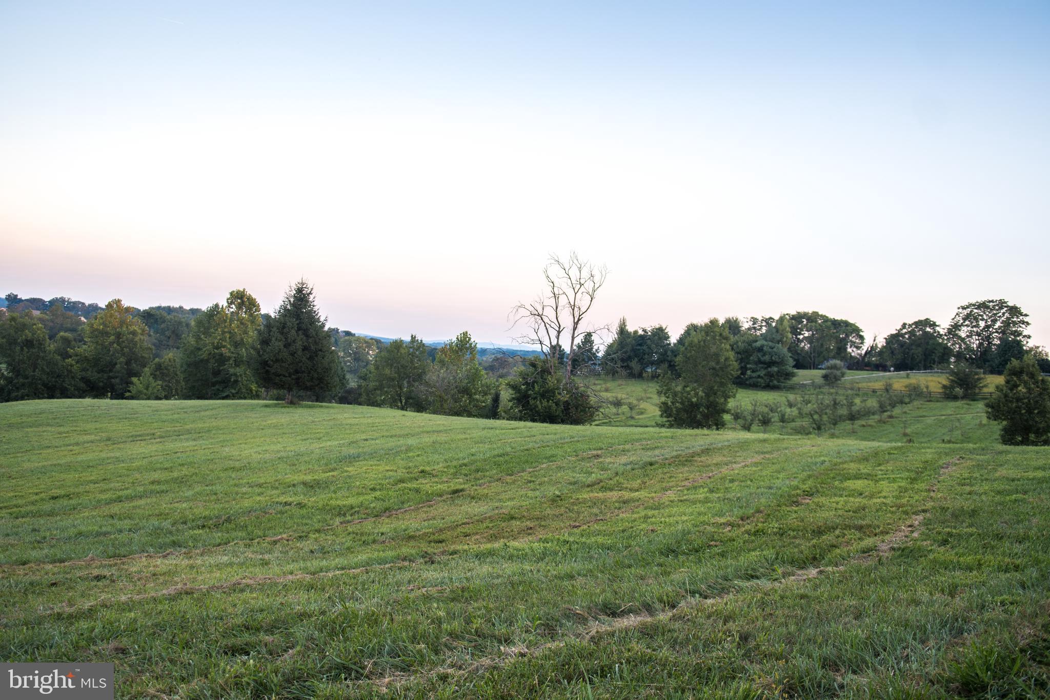 17827 Tranquility Road Purcellville, VA 20132 - Photo 40 of 130 Gallery Image 40