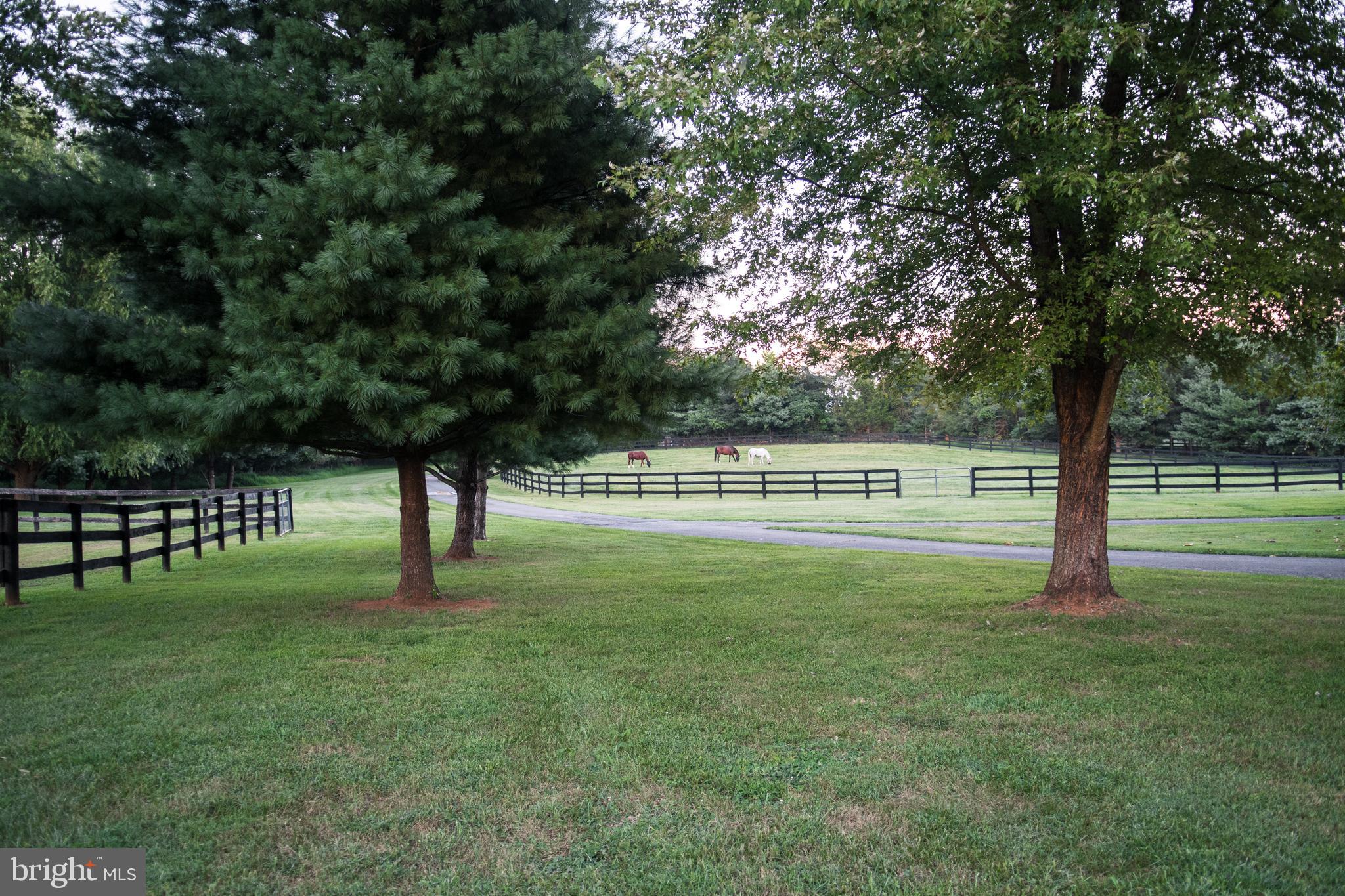 17827 Tranquility Road Purcellville, VA 20132 - Photo 43 of 130 Gallery Image 43