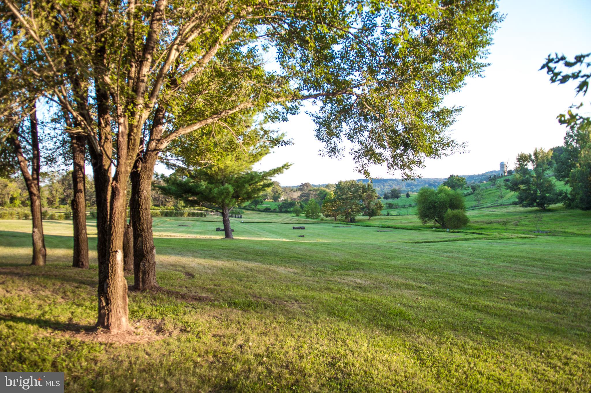 17827 Tranquility Road Purcellville, VA 20132 - Photo 71 of 130 Gallery Image 71