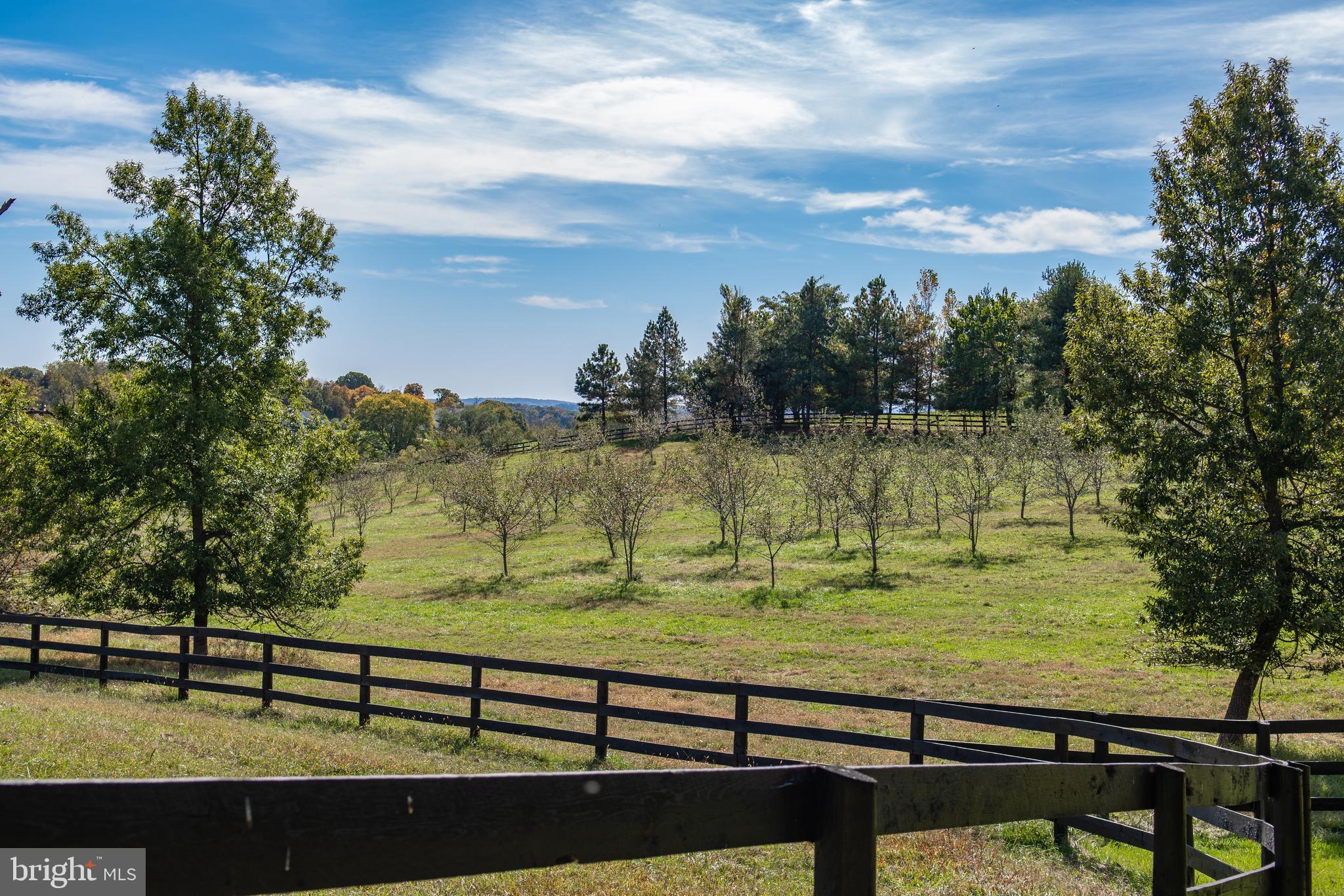 17827 Tranquility Road Purcellville, VA 20132 - Photo 86 of 130 Gallery Image 86