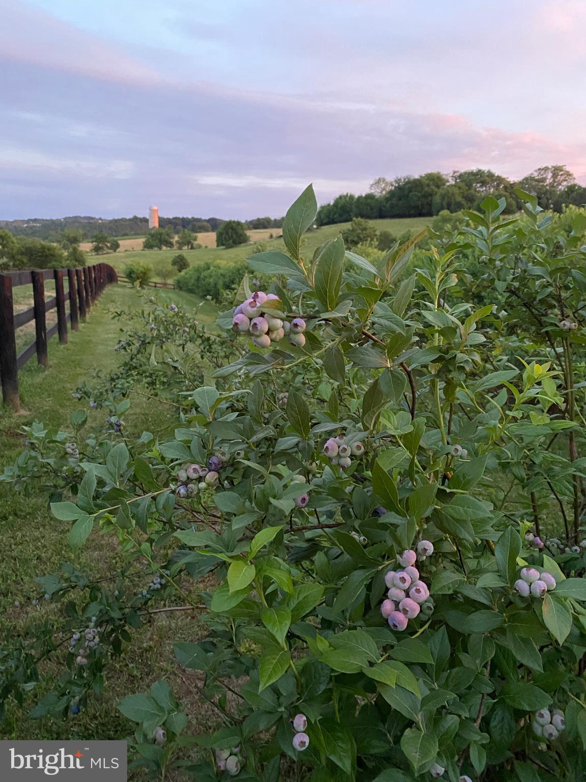 17827 Tranquility Road Purcellville, VA 20132 - Photo 100 of 130 Gallery Image 100