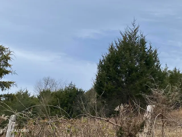 $139,000 | 600 Flower Gap Road, Blackwater, VA 24221