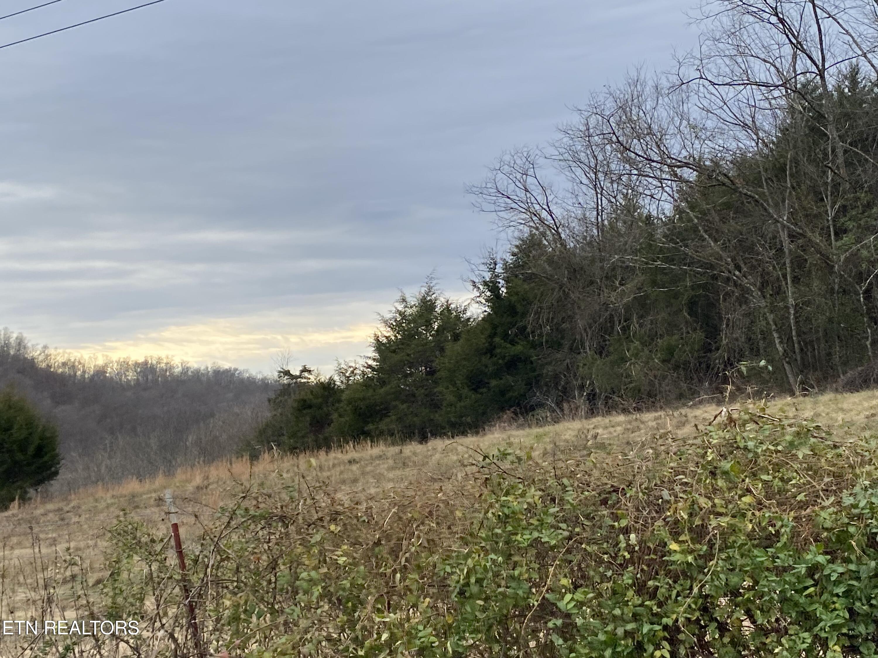 600 Flower Gap Road Blackwater, VA 24221 - Photo 14 of 17 IMG_4720