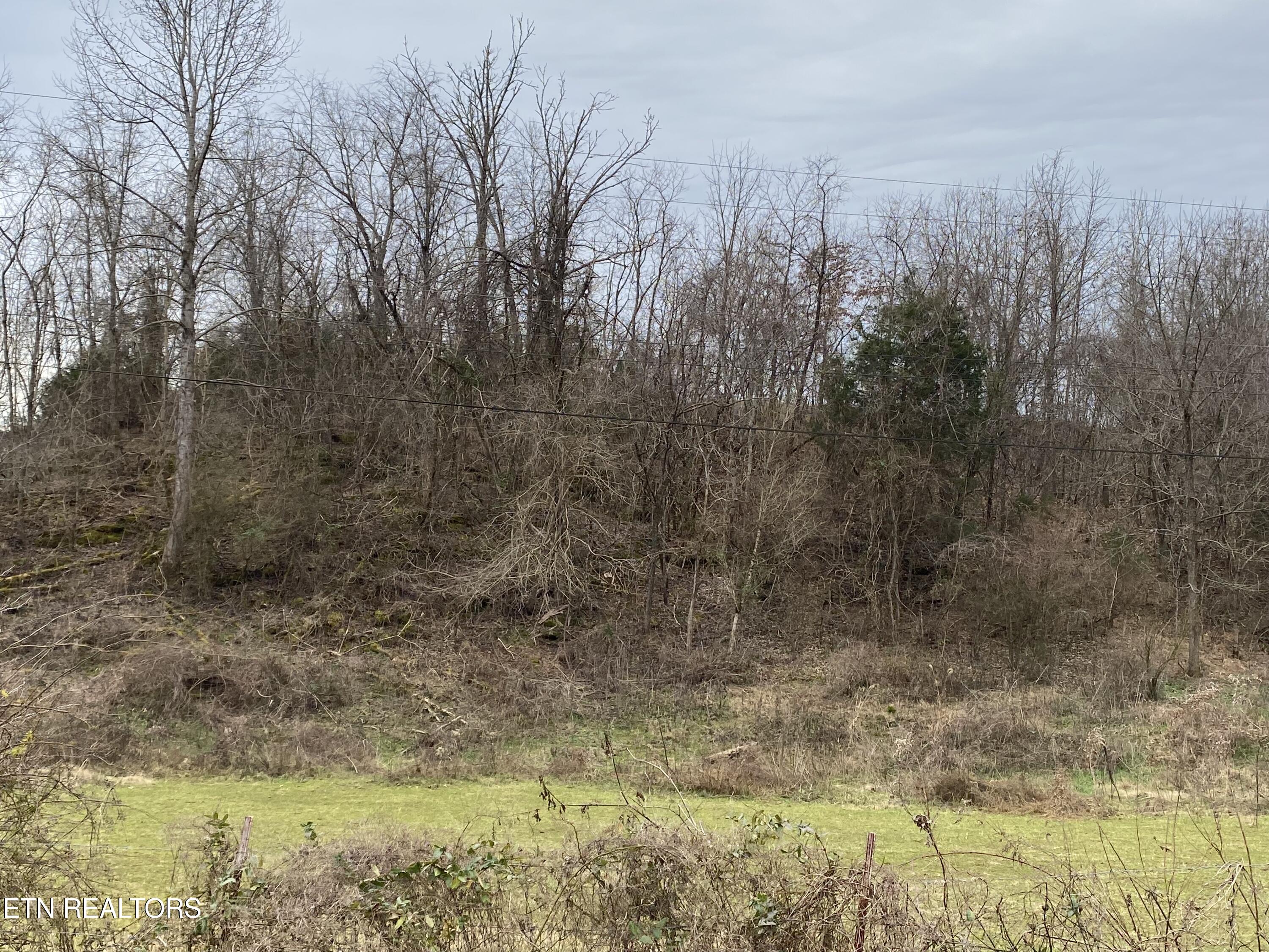 600 Flower Gap Road Blackwater, VA 24221 - Photo 17 of 17 IMG_4722