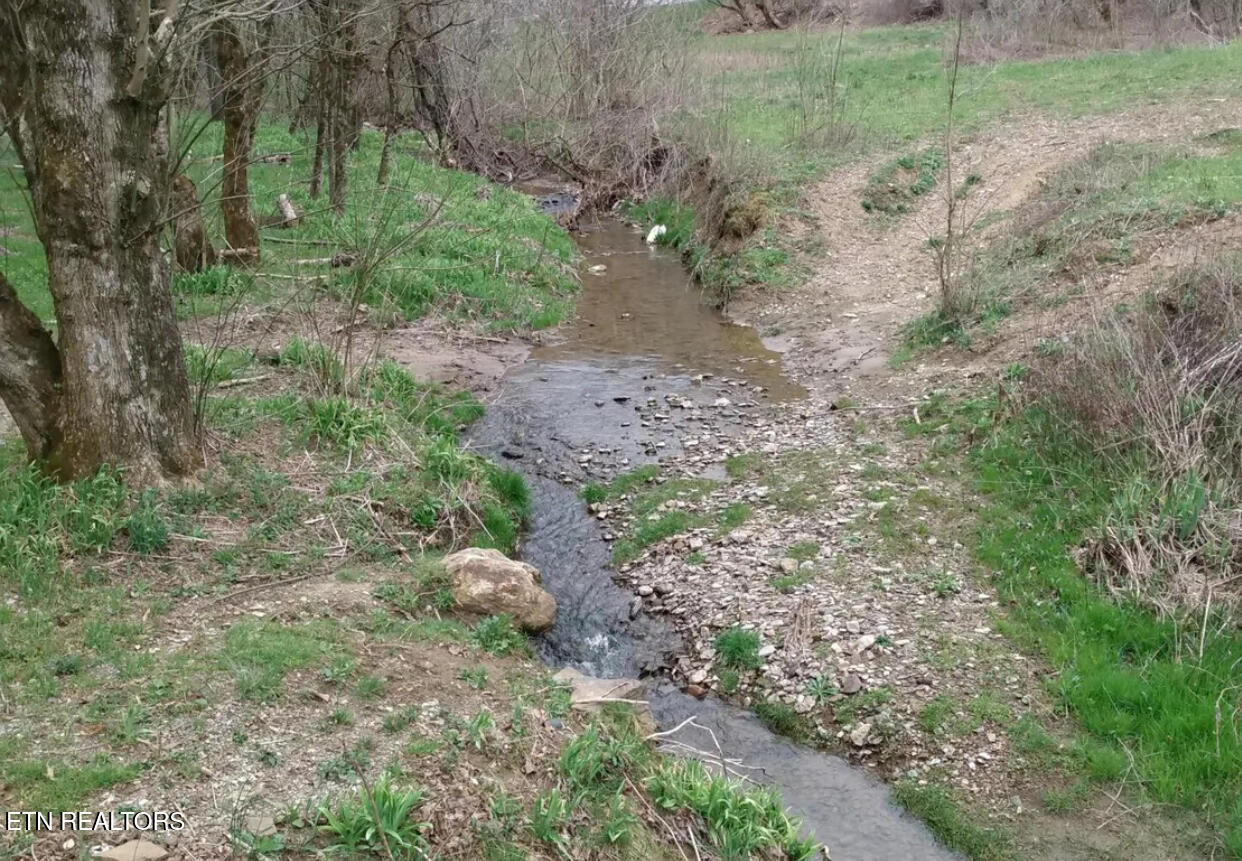 600 Flower Gap Road Blackwater, VA 24221 - Photo 3 of 17 IMG_2715