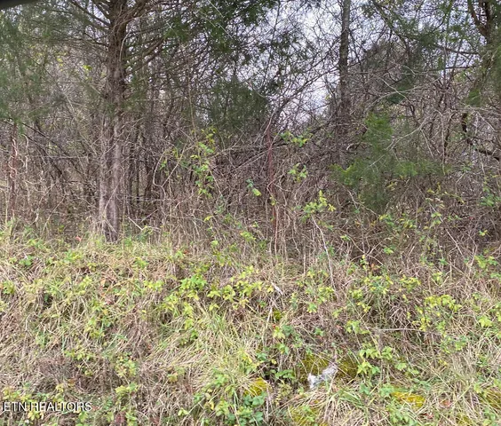 $139,000 | 600 Flower Gap Road, Blackwater, VA 24221