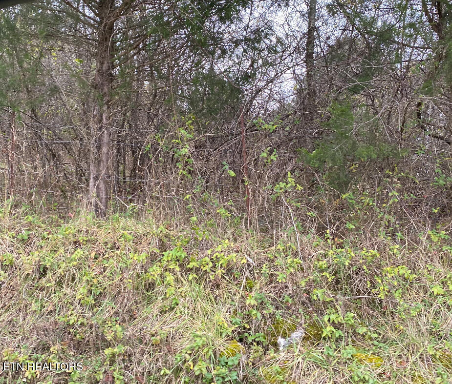 600 Flower Gap Road Blackwater, VA 24221 - Photo 6 of 17 IMG_2693