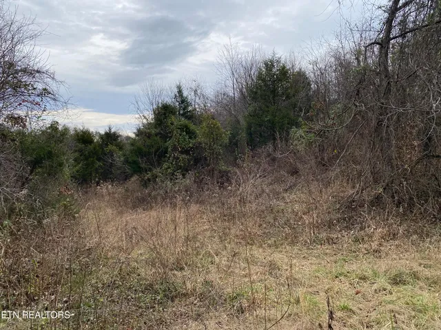 $139,000 | 600 Flower Gap Road, Blackwater, VA 24221