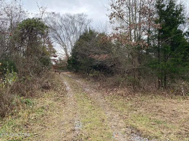 $139,000 | 600 Flower Gap Road, Blackwater, VA 24221