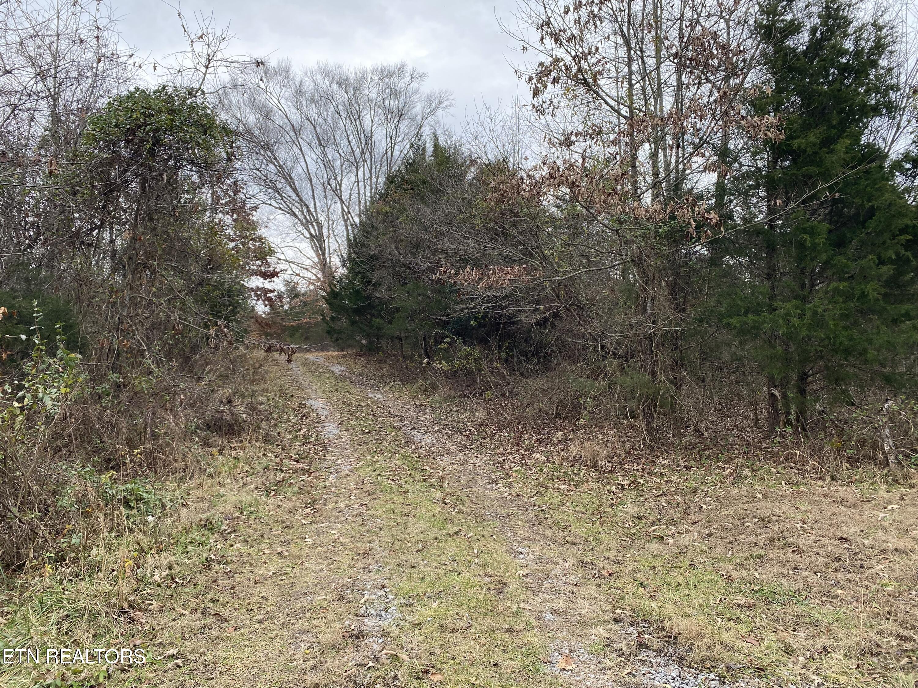 600 Flower Gap Road Blackwater, VA 24221 - Photo 8 of 17 IMG_4713