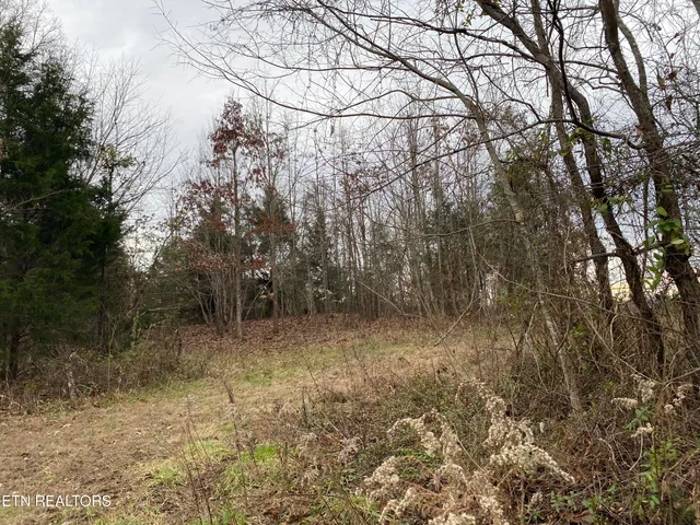 $139,000 | 600 Flower Gap Road, Blackwater, VA 24221