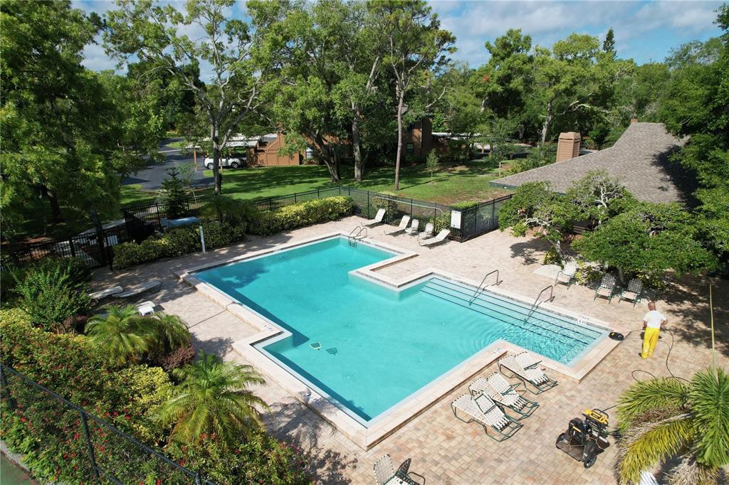 1006 Lennox Road West, Unit 1006 Palm Harbor, FL 34683 - Photo 39 of 44